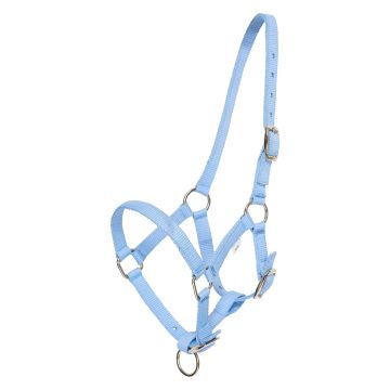 Headcollar foal HVP-Nena -  Sea