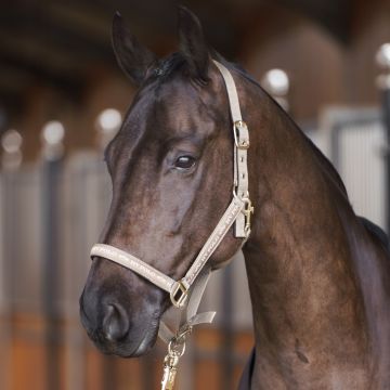 Headcollar HVP-Nena -  Pebble