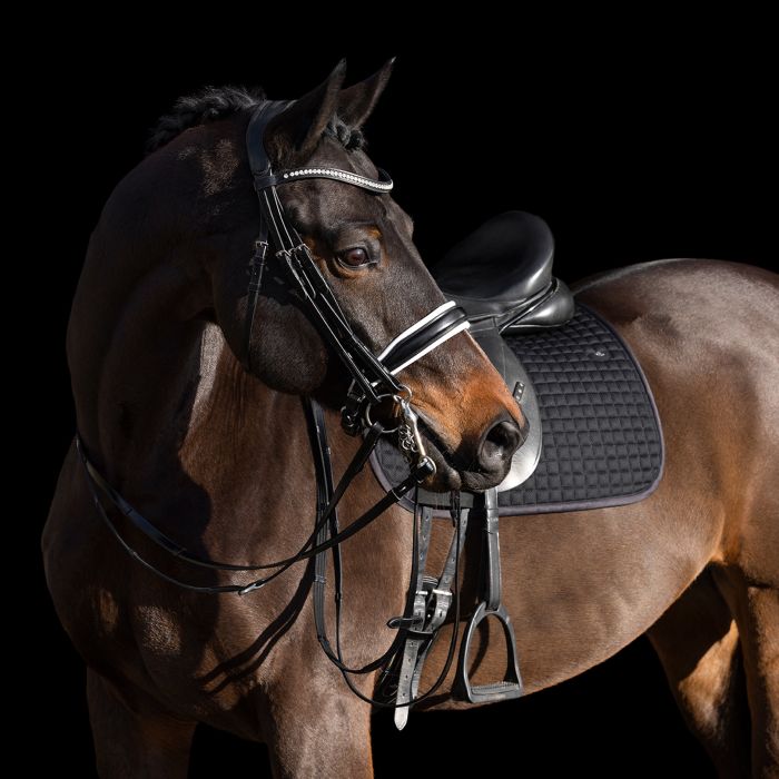 Saddlepad HVPLegacy DR - 9000 - Black