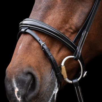 Bridle HVP-Legacy -  Black