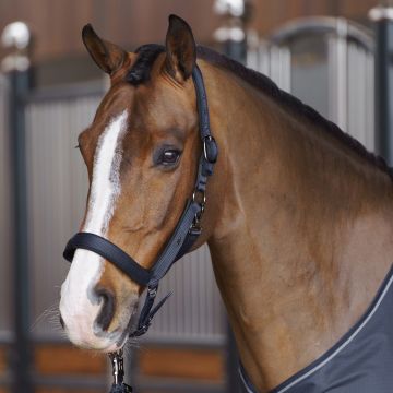 Headcollar HVP-Essential -  Navy